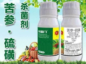 山東成武縣有機(jī)化工廠