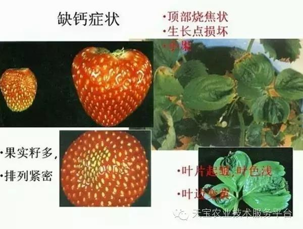 圖片1.jpg