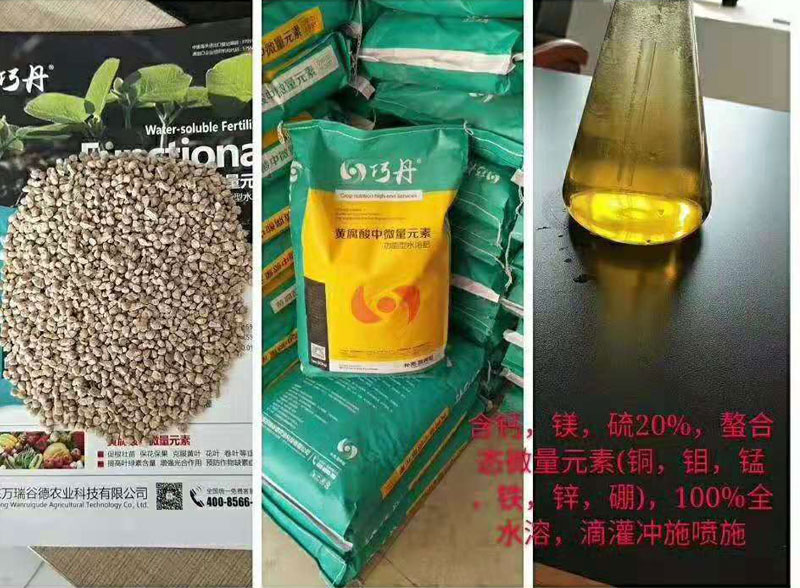 圖片2.jpg