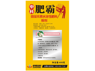 棉花控旺整枝營養(yǎng)